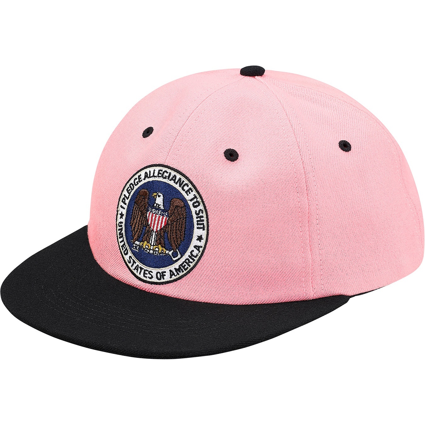 Pledge Allegiance 6-Panel view 3